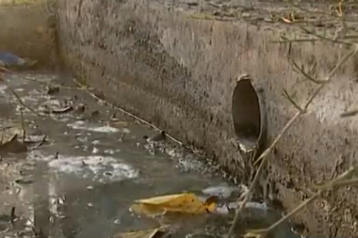 Ucarda illərdir həll edilməyən kanalizasiya dərdi: Xəstəlik zonasına çevrilib - VİDEO